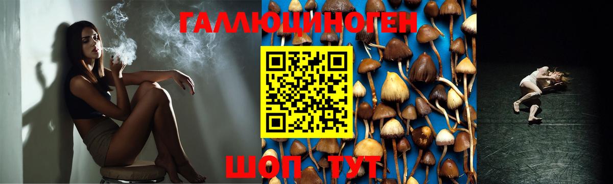 Псилоцибиновые грибы мицелий  Галлюциногенные грибы ЛСД  Михайловка  Вход с VPN 